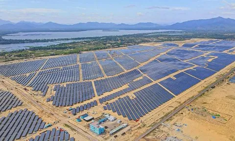 Hồ sơ Cty Năng lượng sạch 'phá nhầm' hơn 5 ha rừng phòng hộ