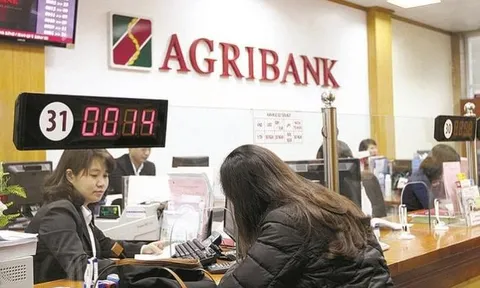 Agribank đấu giá khoản nợ hơn 145 tỷ đồng của Công ty Ngôi Sao Việt