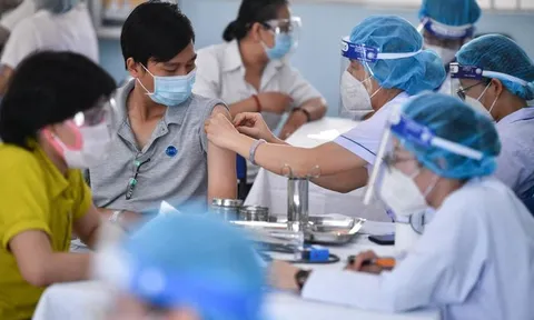 Vì sao người tiêm một mũi vaccine Covid-19 có thể được cấp thẻ xanh?