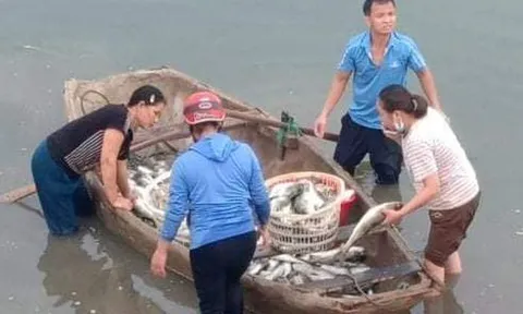 Xả thải ra môi trường, hai công ty ở Thanh Hóa bị phạt gần 1 tỷ đồng