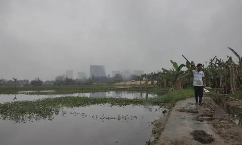 Vụ hủy 185 sổ đỏ tại Quảng Nam: Tranh chấp giao dịch đất đai, người dân 'tự bơi'