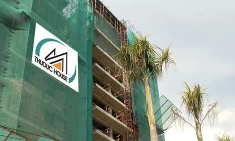 Louis vừa gia nhập, sếp Thuduc House liền từ chức vì lý do sức khỏe