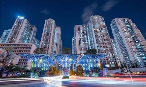 TNS Holdings (TN1) chuẩn bị huy động 490,8 tỷ đồng trái phiếu để trả nợ vay