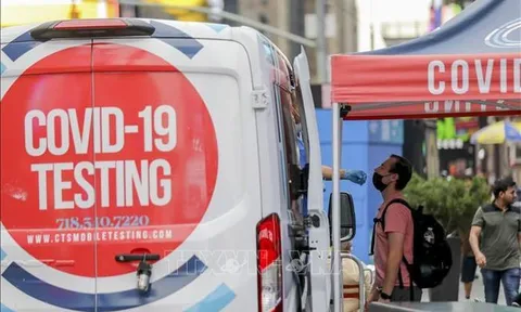 Biến thể R.1 chứa nhiều đột biến của virus SARS-CoV-2 lây lan mạnh tại Mỹ