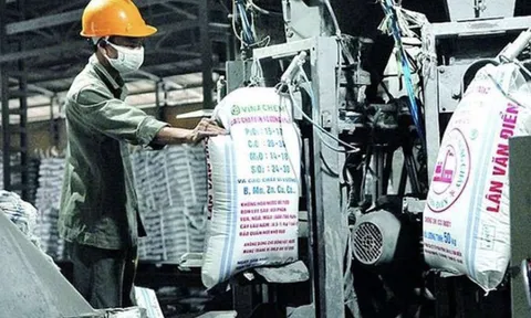 Một cổ đông lớn của VAF bị UBCKNN phạt 110 triệu đồng