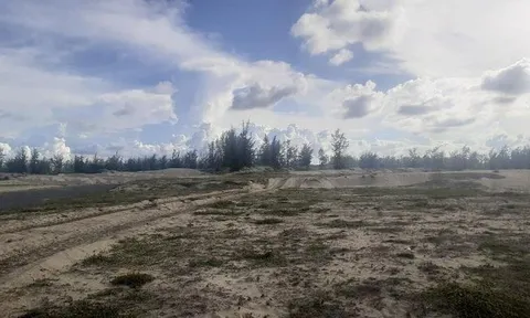 Chủ tịch tỉnh Quảng Nam 'lệnh' rà soát lại các dự án do Công ty Bắc Hội An làm chủ đầu tư