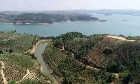 Dự án của Sài Gòn Đại Ninh tại Lâm Đồng: Muốn làm tiếp phải cam kết không chuyển nhượng