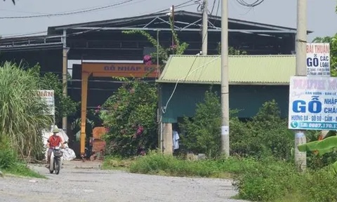 Huyện Thường Tín: Hàng loạt nhà xưởng mọc trên đất nông nghiệp trong mùa dịch Covid-19