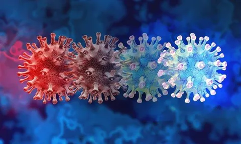 Ba biến chủng nCoV mới được phát hiện nguy hiểm thế nào?