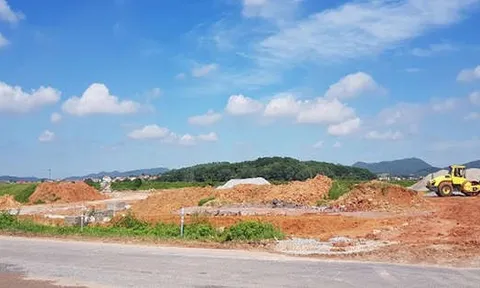 Hải Dương xử phạt Cty Đức Trí 480 triệu vì san lấp trái phép