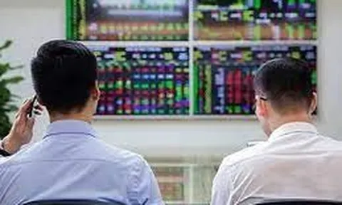 Điện lực TKV và 2 cá nhân bị xử phạt vi phạm trong lĩnh vực chứng khoán