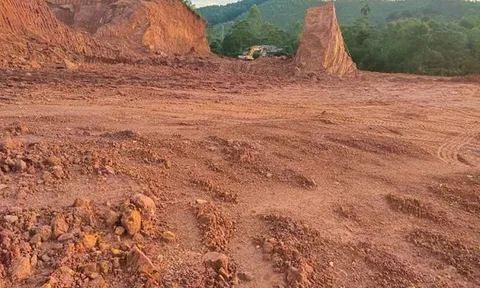Lâm Đồng: Hủy hoại 3,16 ha đất, Công ty Phượng Đỏ Đà Loan phải nhận án phạt