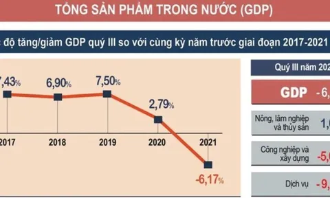 Mức tăng trưởng GDP quý III là âm 6,17%