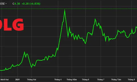 Đức Long Gia Lai (DLG): Ngập chìm trong nợ và lỗ, cổ phiếu “trà đá” vẫn tăng mạnh
