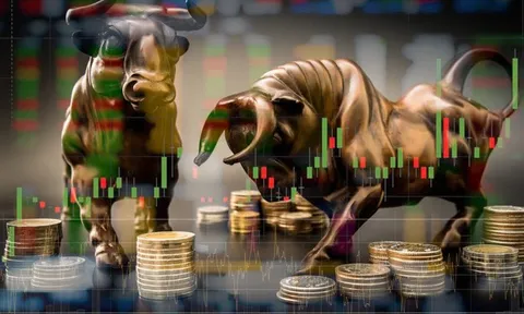 Nhiều quỹ lớn có hiệu suất âm trong quý 3/2021, SSIAM VNFinLead ETF giảm sâu bởi cổ phiếu ngân hàng