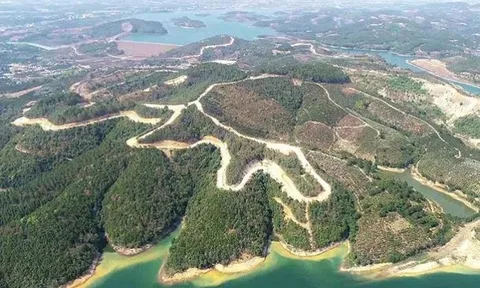Lâm Đồng: 'Siêu dự án' 25.000 tỷ đồng của Sài Gòn Đại Ninh làm mất 257ha đất rừng