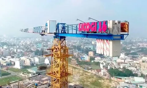 Licogi 16 phát hành 50 triệu cổ phiếu bằng nửa thị giá lấy tiền trả nợ