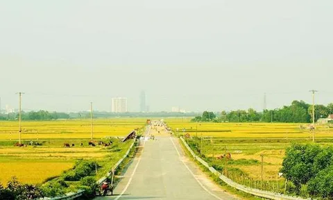 Đường 'cụt' 52 tỷ bỏ không giữa đồng