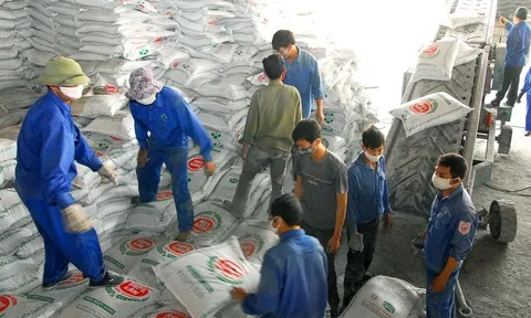 Gói thầu mua phân bón ở Tổng công ty 15: Vì sao chọn nhà thầu xếp thứ 3?
