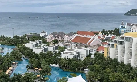 Ngành nghề nào giảm lương, nhân sự nhiều nhất trong đại dịch?