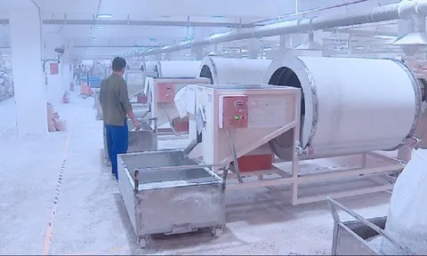 Công ty Quảng Phong Việt Nam sai phạm về môi trường, đã dừng hoạt động?