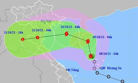Áp thấp nhiệt đới mạnh lên thành bão, sức gió mạnh nhất giật cấp 10