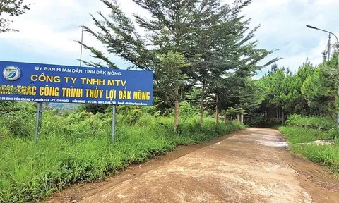 Công ty Thủy lợi Đắk Nông sai phạm trong mua sắm tài sản và đấu thầu
