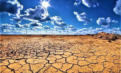 Biến đổi khí hậu ảnh hưởng đến thực phẩm như thế nào?