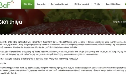 BaF Việt Nam và 'ma trận phải thu - phải trả' trong hệ sinh thái Tân Long Group