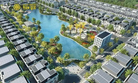 Nghệ An: Vì sao nhiều dự án của tập đoàn Cienco 4 bị tạm dừng?