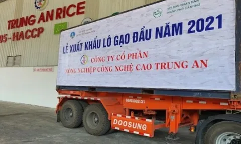 Trung An (TAR) muốn chào bán riêng lẻ 25 triệu cổ phiếu, huy động 450 tỷ đồng trả nợ ngân hàng