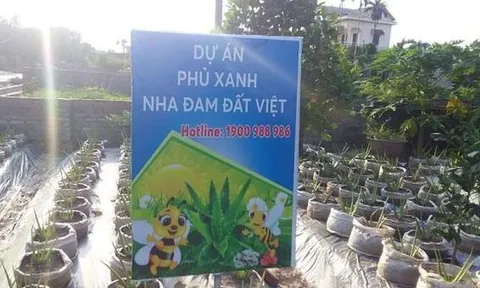 Bất thường dự án trồng cây nha đam của Cty Biobee Việt Pháp