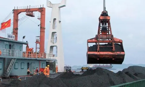 Cổ phiếu CLM lao dốc không phanh sau khi tăng gấp đôi