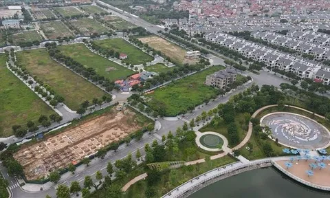 Nam Cường 'ôm' đất vàng: Lợi nhuận đi xuống có liên quan?