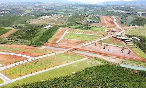 Kiến nghị chuyển cơ quan điều tra vụ phân lô bán nền 'trá hình' ở Lâm Đồng
