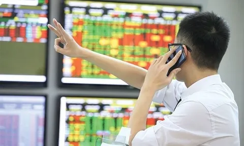 Mốc 1.400 điểm là nổi ám ảnh của nhà đầu tư, nhóm Louis rớt thảm sau tin BII thoái vốn khỏi TDH