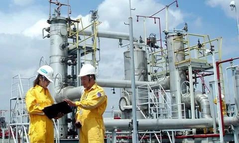 Kiểm toán Nhà nước chỉ ra hàng loạt sai phạm của PV GAS