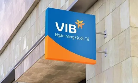Bài 10: Thấy gì từ việc VIB liên tiếp phát hành lượng trái phiếu 'khủng'?