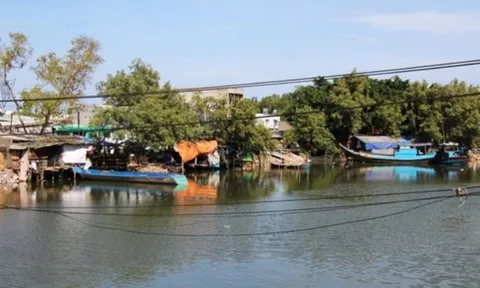 Bà Rịa - Vũng Tàu: Chỉ đạo mới liên quan đến dự án công viên 100ha ‘ngủ quên’ hơn 10 năm