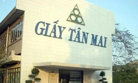 Công ty cổ phần Xây lắp và sản xuất Công nghiệp và Tập đoàn Tân Mai bị phạt