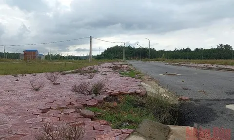 Quảng Ngãi: Hàng loạt sai phạm tại dự án Cà Ninh