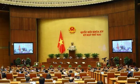 Ngày 24/10, Quốc hội tiếp tục thảo luận trực tuyến về công tác phòng chống tội phạm