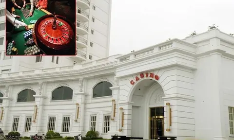 Cổ phiếu RIC tăng giảm thất thường, sang tay lượng khủng