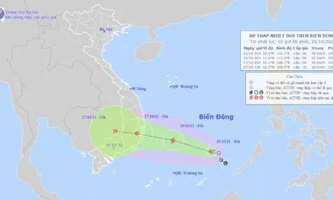 Áp thấp nhiệt đới khả năng mạnh lên thành bão hướng vào Bình Định đến Bình Thuận