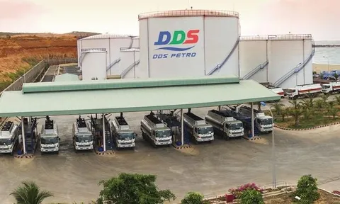 Sơ phác Dương Đông Group – 'tay chơi' ít biết ở Cảng quốc tế Vạn Ninh