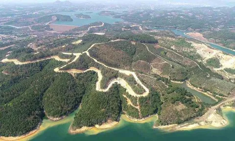 Sài Gòn - Đại Ninh làm 257ha rừng 'biến mất'... còn sai phạm gì?