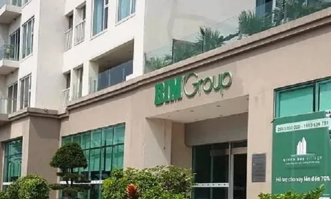 Công ty Cổ phần Bất động sản BIM: Vốn chủ sở hữu hơn 3.000 tỷ, tiền và tương đương chỉ 1 tỷ