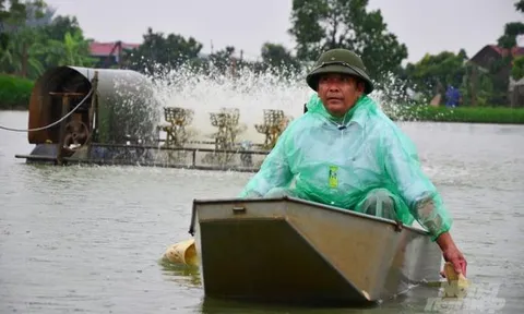 'Thay máu' HTX nông nghiệp kiểu cũ: Cuộc sáp nhập rối tinh...