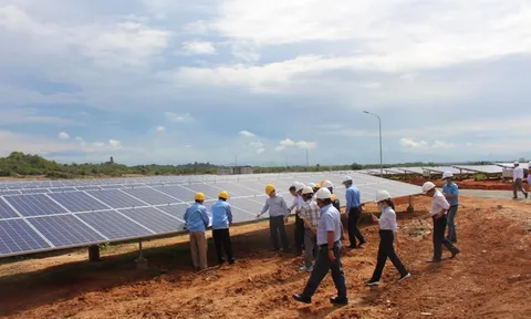 2 gói thầu EPC của EVN: Nhiều dấu hiệu vi phạm và gian lận cần làm rõ