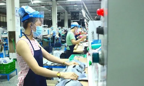 TP.HCM: Khảo sát khẩn về nhà trọ, nhà ở cho công nhân